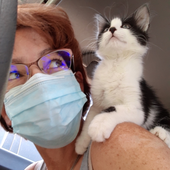 MeetYourPoshAmbassadors!🤩💚🐈🐈🐈🐈🐈🐈🐕 - Picture 9 of 16